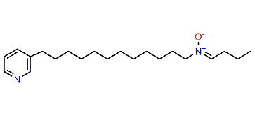 Cribrochalinamine oxide A